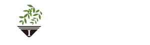 オリーブ歯科